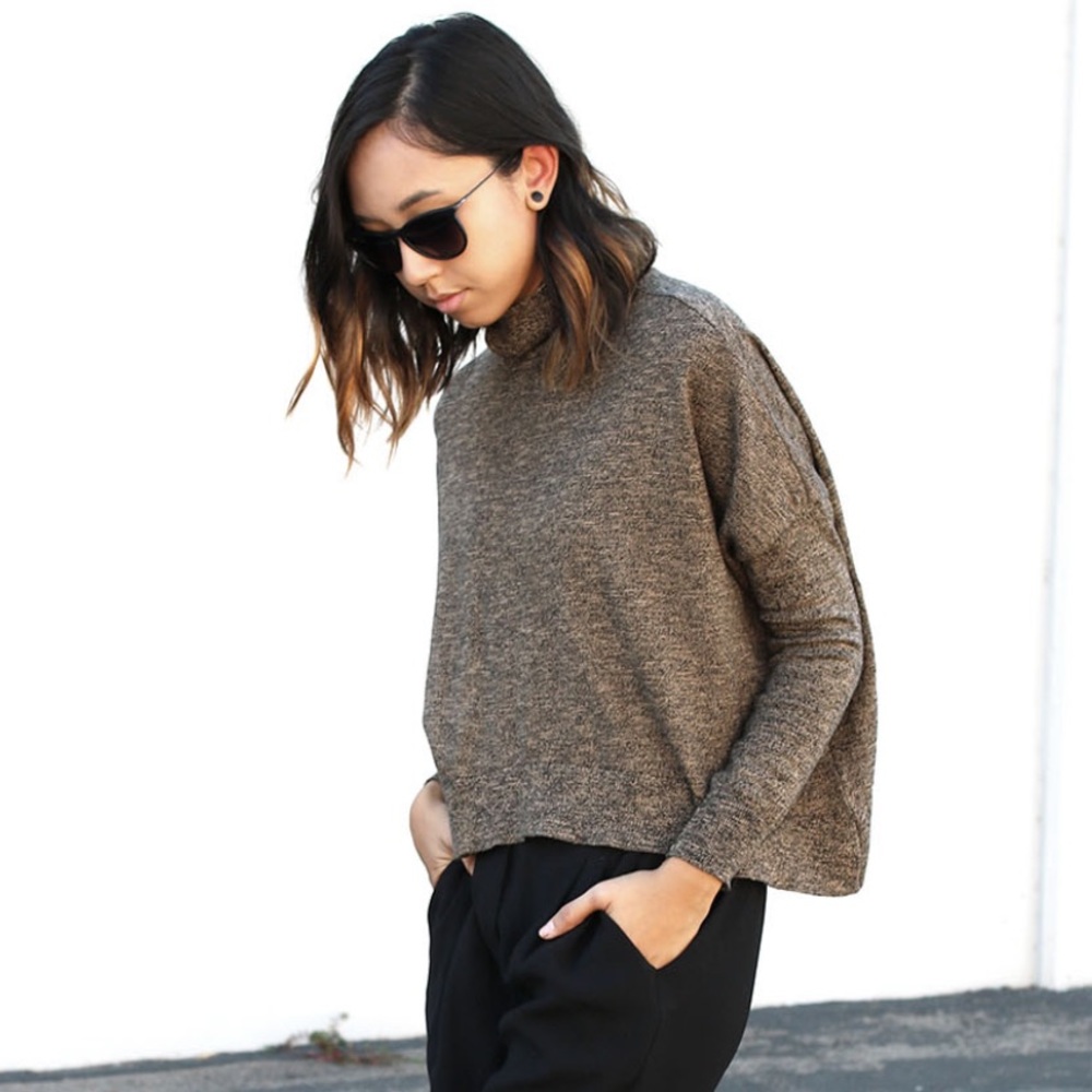 Zara Knit Brown Cropped Turtleneck Sweater